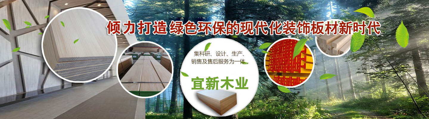 山東泰安東岳泰山衡器有限公司